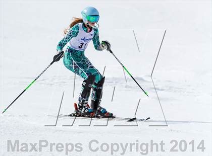 Thumbnail 1 in NYSPHSAA Alpine Championships (Girls Slalom) photogallery.