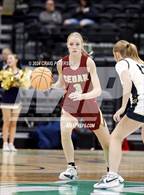 Photo from the gallery "Snow Canyon vs. Cedar (UHSAA 4A Semifinals)"