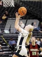 Photo from the gallery "Snow Canyon vs. Cedar (UHSAA 4A Semifinals)"