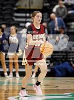 Photo from the gallery "Snow Canyon vs. Cedar (UHSAA 4A Semifinals)"