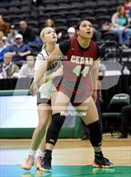 Photo from the gallery "Snow Canyon vs. Cedar (UHSAA 4A Semifinals)"