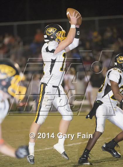 Thumbnail 1 in McMinn County @ Soddy Daisy photogallery.