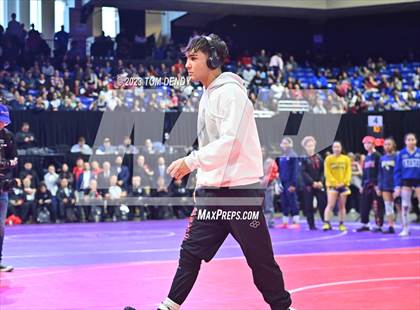 Thumbnail 1 in UIL 5A/6A State Championships - Parade of Champions photogallery.