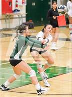 Photo from the gallery "James Logan @ Mission San Jose"