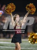 Photo from the gallery "Magnolia West @ Magnolia"