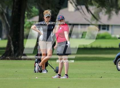 Thumbnail 1 in Springstead @ Hernando photogallery.