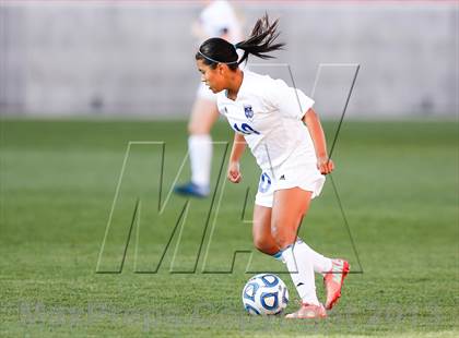 Thumbnail 3 in Juan Diego Catholic vs Dixie (UHSAA 3A Final) photogallery.