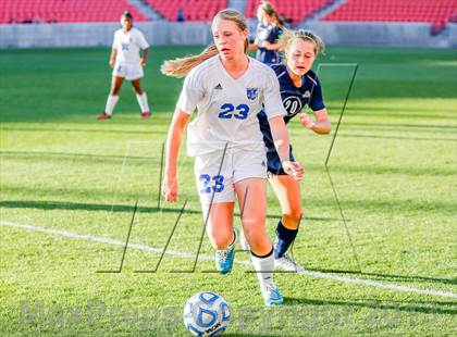 Thumbnail 2 in Juan Diego Catholic vs Dixie (UHSAA 3A Final) photogallery.