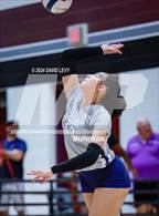 Photo from the gallery "Desert Vista @ Hamilton"