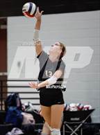 Photo from the gallery "Desert Vista @ Hamilton"