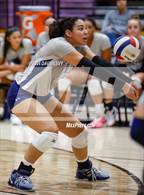 Photo from the gallery "Desert Vista @ Hamilton"