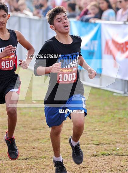 Thumbnail 3 in CIF Central Section Cross Country Championships (Boys D5 Race) photogallery.