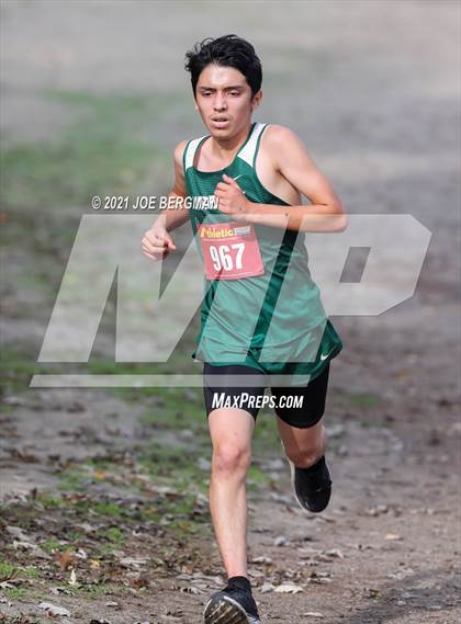 Thumbnail 1 in CIF Central Section Cross Country Championships (Boys D5 Race) photogallery.