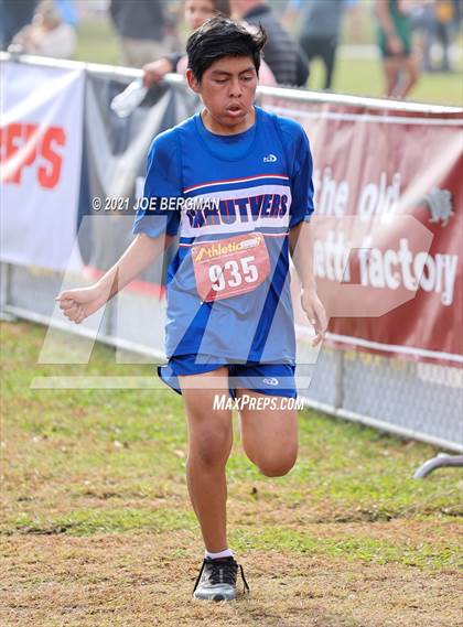 Thumbnail 3 in CIF Central Section Cross Country Championships (Boys D5 Race) photogallery.