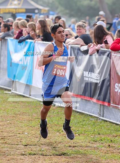 Thumbnail 1 in CIF Central Section Cross Country Championships (Boys D5 Race) photogallery.