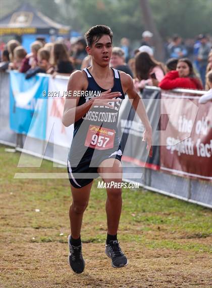 Thumbnail 2 in CIF Central Section Cross Country Championships (Boys D5 Race) photogallery.
