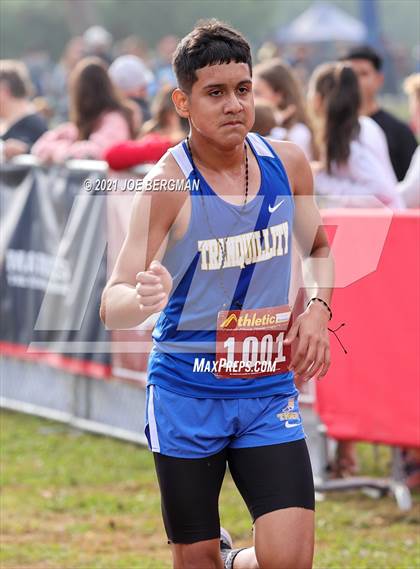 Thumbnail 1 in CIF Central Section Cross Country Championships (Boys D5 Race) photogallery.
