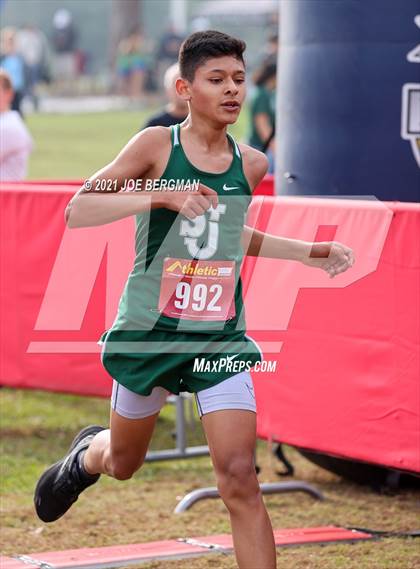 Thumbnail 1 in CIF Central Section Cross Country Championships (Boys D5 Race) photogallery.