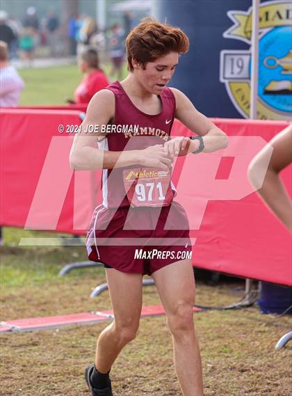 Thumbnail 1 in CIF Central Section Cross Country Championships (Boys D5 Race) photogallery.
