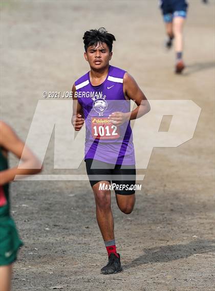 Thumbnail 3 in CIF Central Section Cross Country Championships (Boys D5 Race) photogallery.