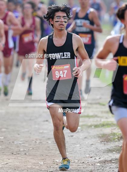 Thumbnail 1 in CIF Central Section Cross Country Championships (Boys D5 Race) photogallery.