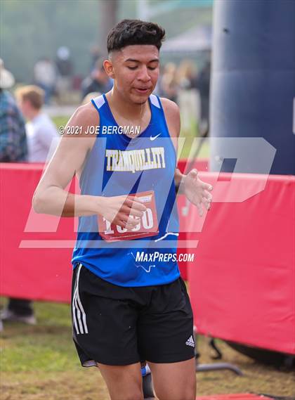 Thumbnail 1 in CIF Central Section Cross Country Championships (Boys D5 Race) photogallery.