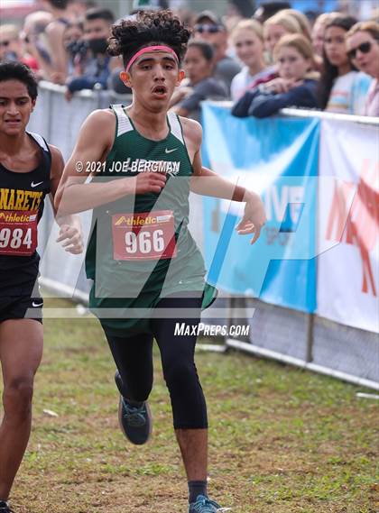 Thumbnail 3 in CIF Central Section Cross Country Championships (Boys D5 Race) photogallery.