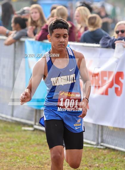 Thumbnail 3 in CIF Central Section Cross Country Championships (Boys D5 Race) photogallery.