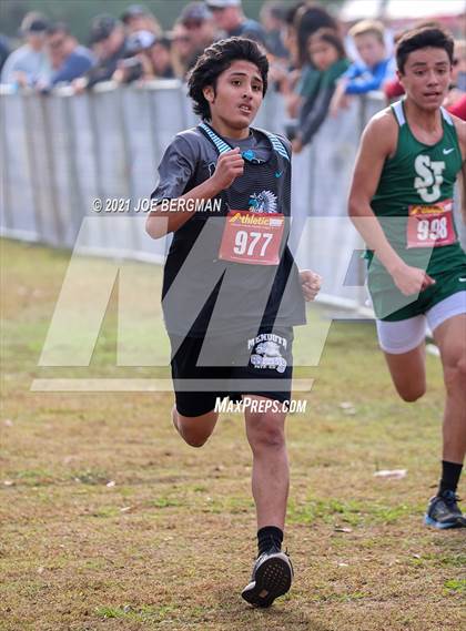 Thumbnail 3 in CIF Central Section Cross Country Championships (Boys D5 Race) photogallery.