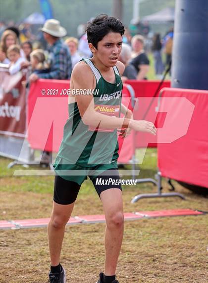 Thumbnail 3 in CIF Central Section Cross Country Championships (Boys D5 Race) photogallery.