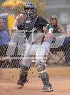 Photo from the gallery "Trivium Prep @ Scottsdale Preparatory Academy"