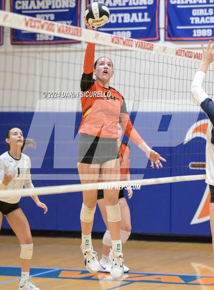 Thumbnail 1 in ALA - Gilbert North vs. Corona del Sol (Westwood Tournament) photogallery.