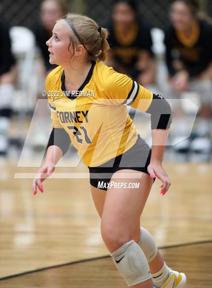 Thumbnail 1 in Forney @ Royse City photogallery.