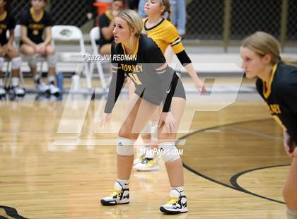 Thumbnail 3 in Forney @ Royse City photogallery.
