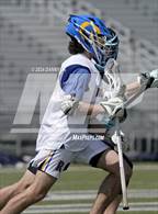 Photo from the gallery "Stone Bridge @ Robinson"