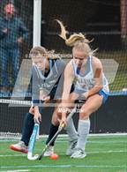 Photo from the gallery "Wilton @ Darien"