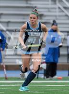 Photo from the gallery "Wilton @ Darien"