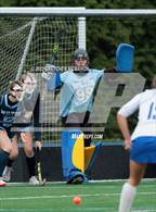 Photo from the gallery "Wilton @ Darien"