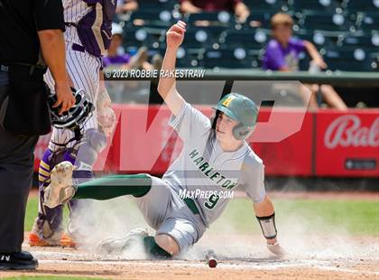 Thumbnail 1 in Harleton vs. Shiner (UIL 2A Baseball State Final)  photogallery.