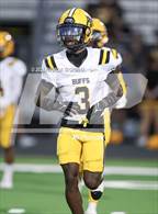 Photo from the gallery "Fort Bend Marshall @ Randle"