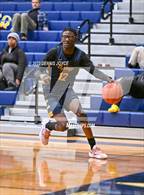 Photo from the gallery "University Prep @ Victor"
