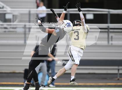 Thumbnail 2 in Palmer vs Gunter (UIL Class 3A Division II Regional Semifinal) photogallery.