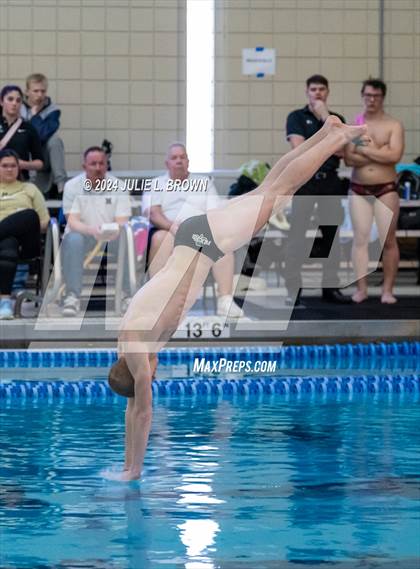 Thumbnail 2 in IHSAA Section 9 (1 Meter Diving Finals) photogallery.