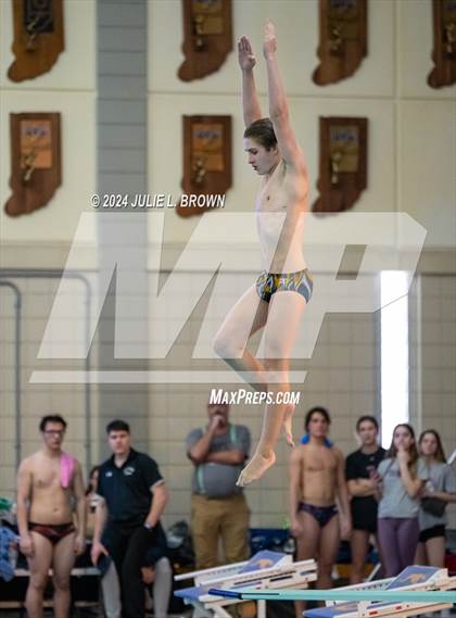 Thumbnail 1 in IHSAA Section 9 (1 Meter Diving Finals) photogallery.