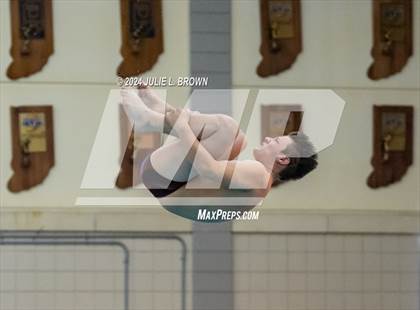 Thumbnail 1 in IHSAA Section 9 (1 Meter Diving Finals) photogallery.
