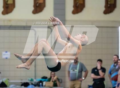 Thumbnail 1 in IHSAA Section 9 (1 Meter Diving Finals) photogallery.