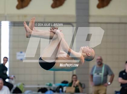 Thumbnail 2 in IHSAA Section 9 (1 Meter Diving Finals) photogallery.