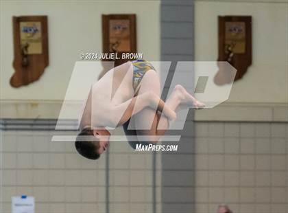 Thumbnail 1 in IHSAA Section 9 (1 Meter Diving Finals) photogallery.