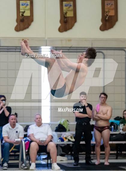 Thumbnail 2 in IHSAA Section 9 (1 Meter Diving Finals) photogallery.