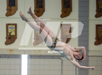 Thumbnail 3 in IHSAA Section 9 (1 Meter Diving Finals) photogallery.
